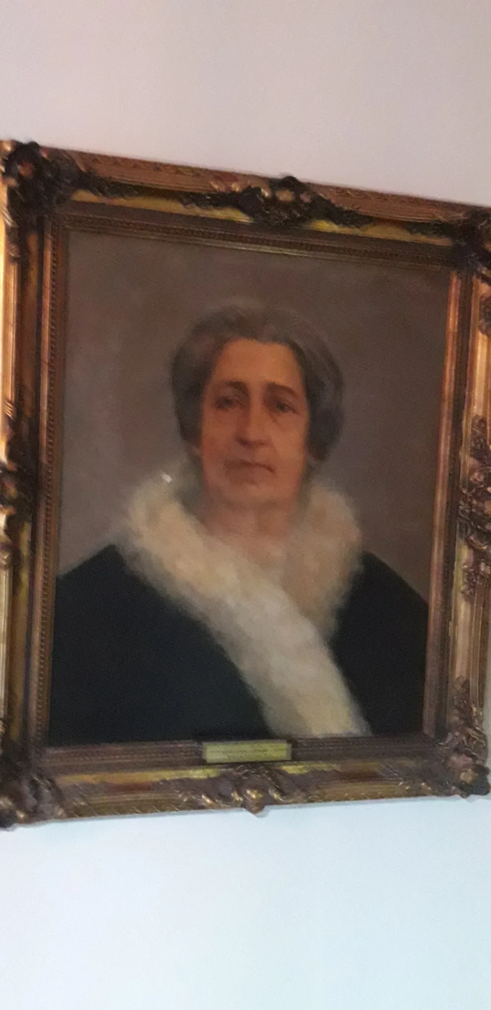 Carlos Costa Pinto Museum