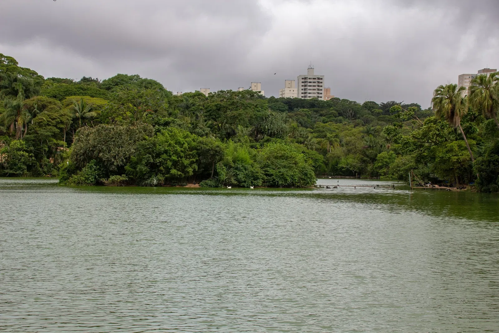 Parc zoologique de São Paulo