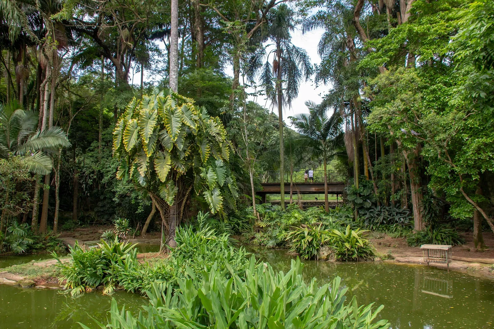 Zoo São Paulo