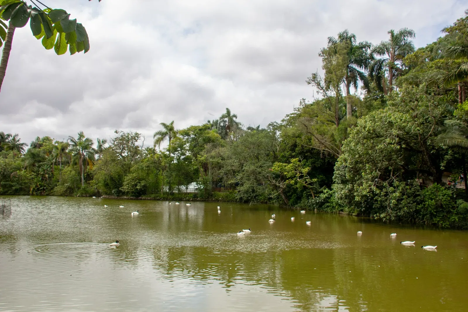 Parc zoologique de São Paulo