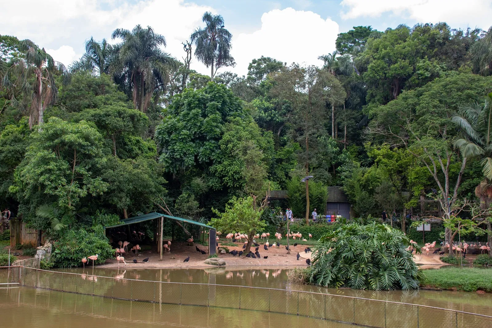 São Paulo Zoo