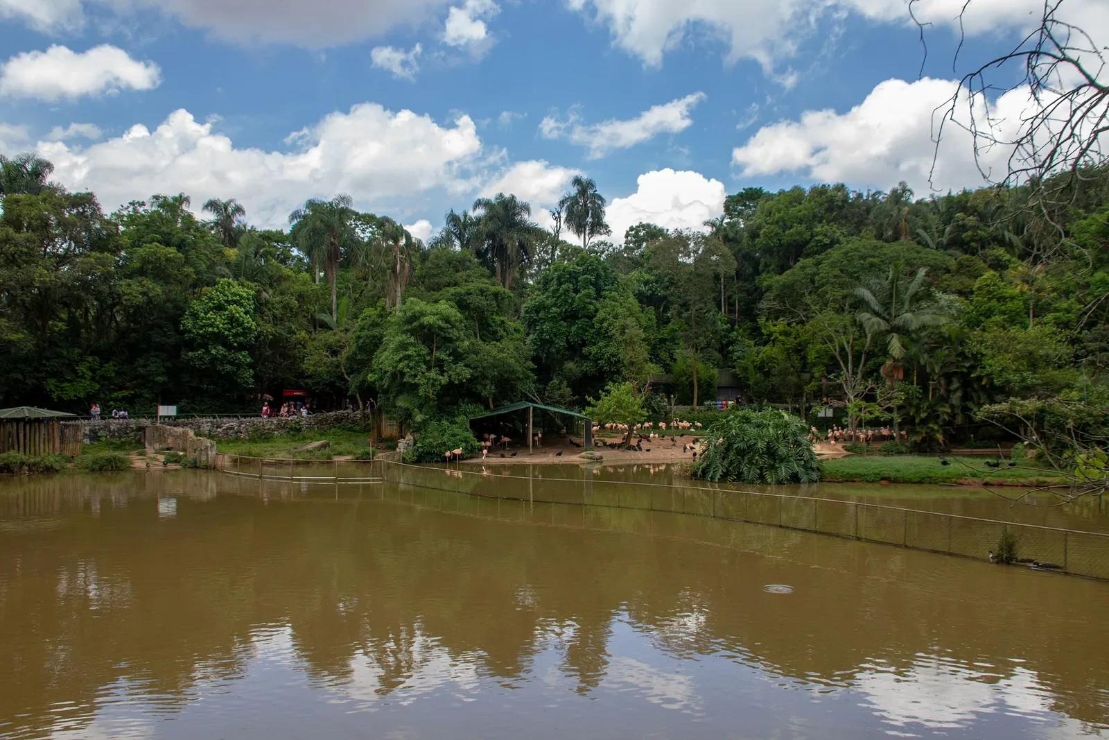 Zoo São Paulo