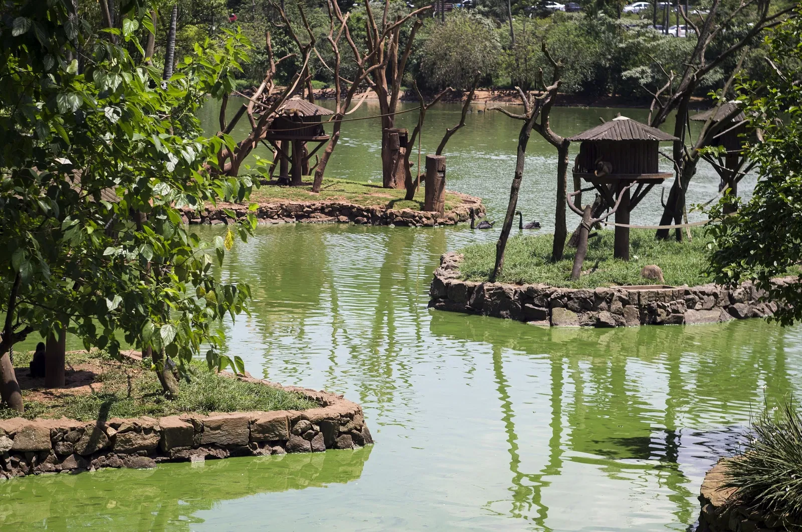 São Paulo Zoo