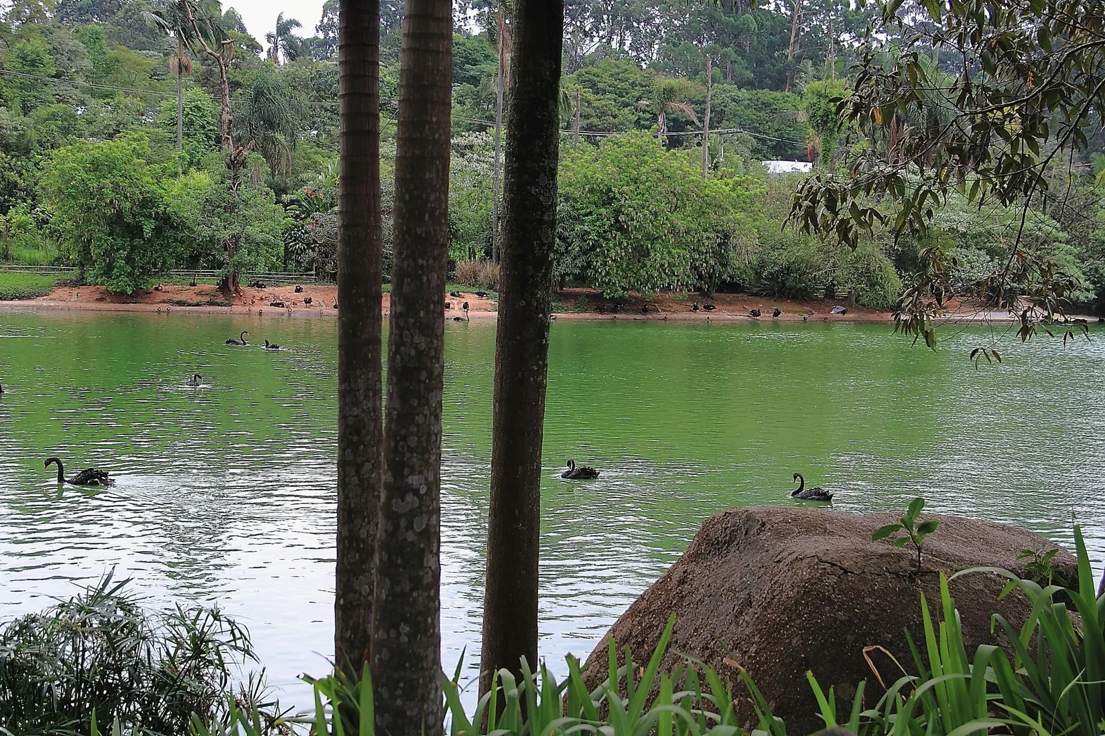 Parc zoologique de São Paulo