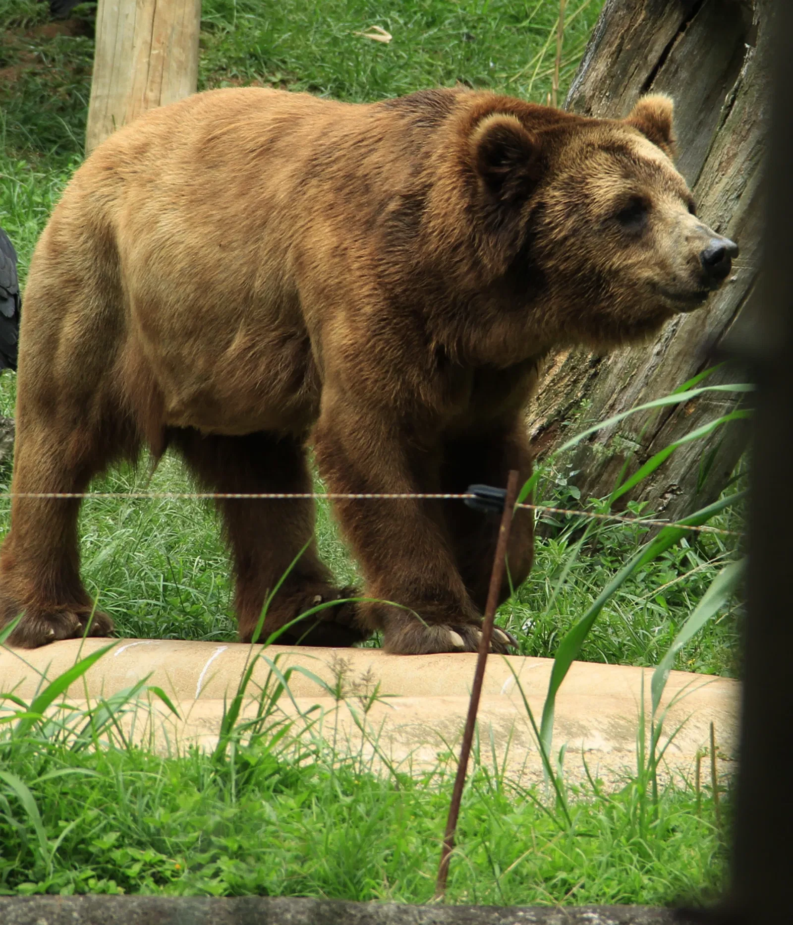 São Paulo Zoo