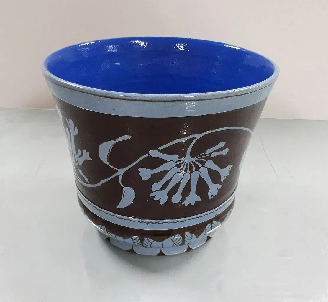 Museo Nacional de Bellas Artes (Brasil)