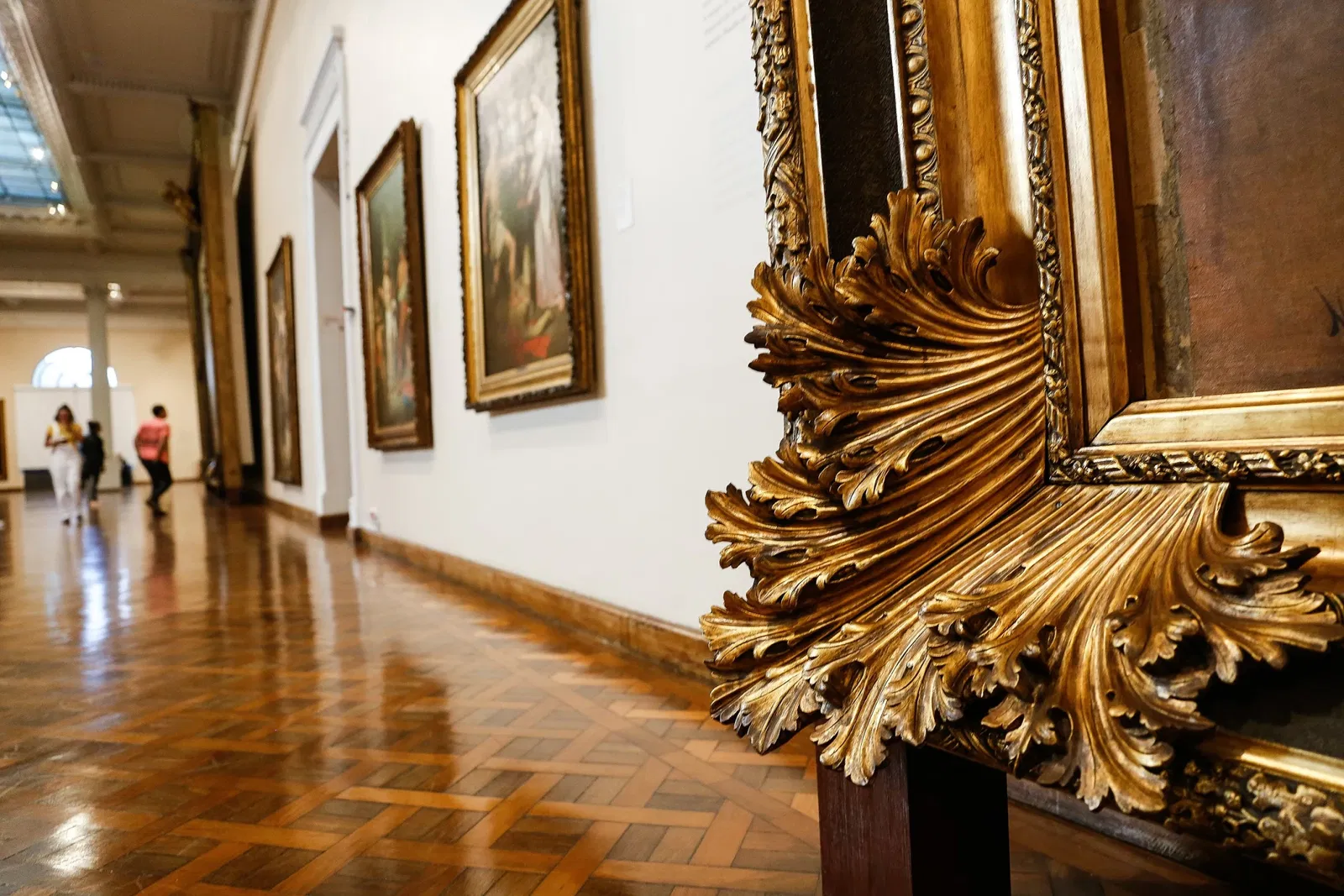 Museo nazionale delle belle arti (Brasile)