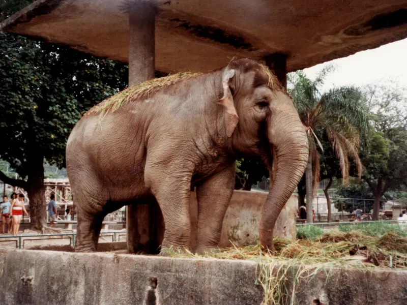 BioPark of Rio (Rio de Janeiro) - Visitor Information & Reviews