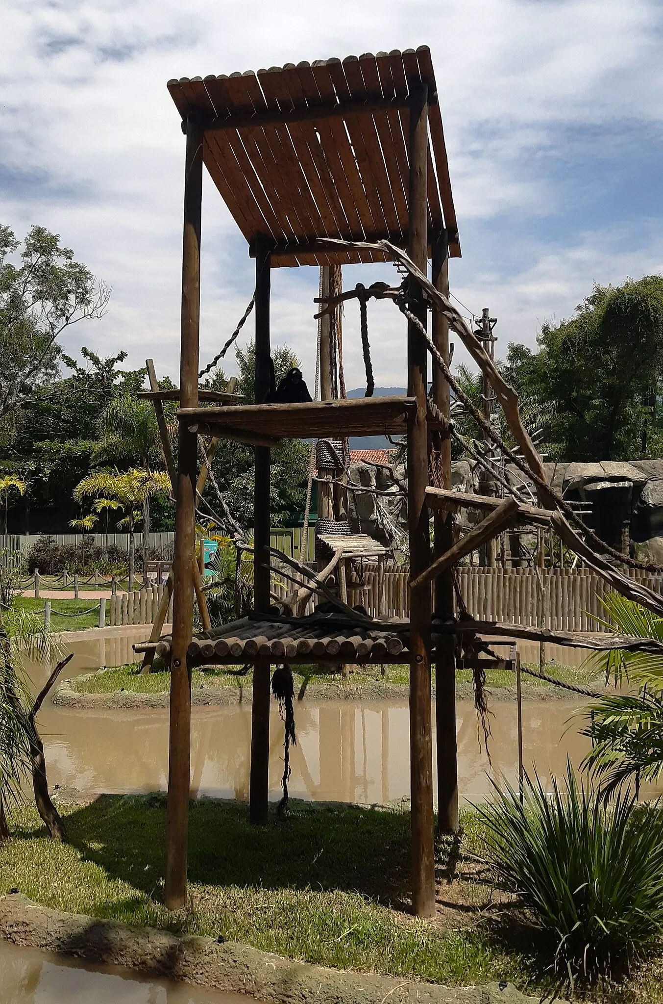 Zoo de Rio de Janeiro