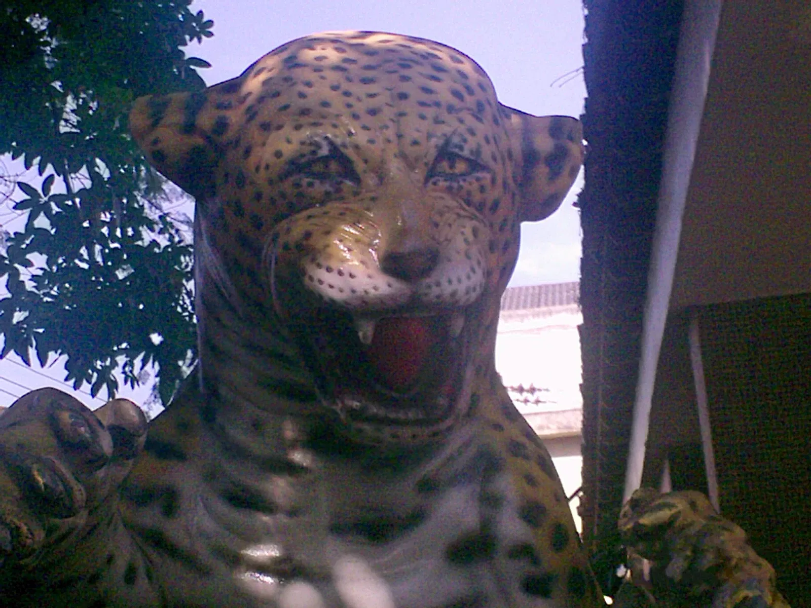 Zoo de Rio de Janeiro