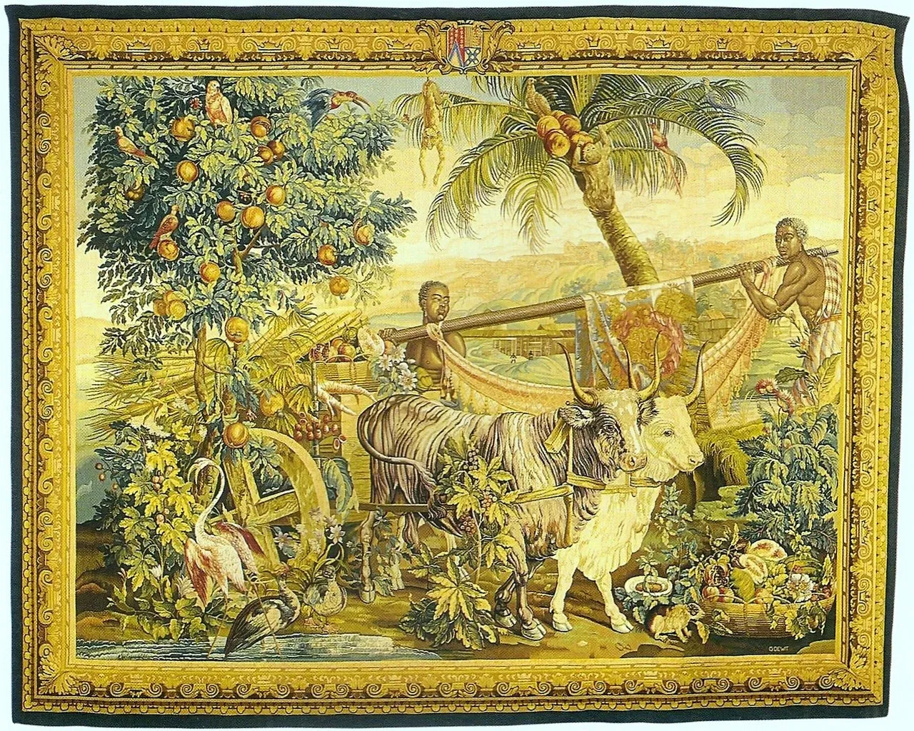 Museu do Homem do Nordeste