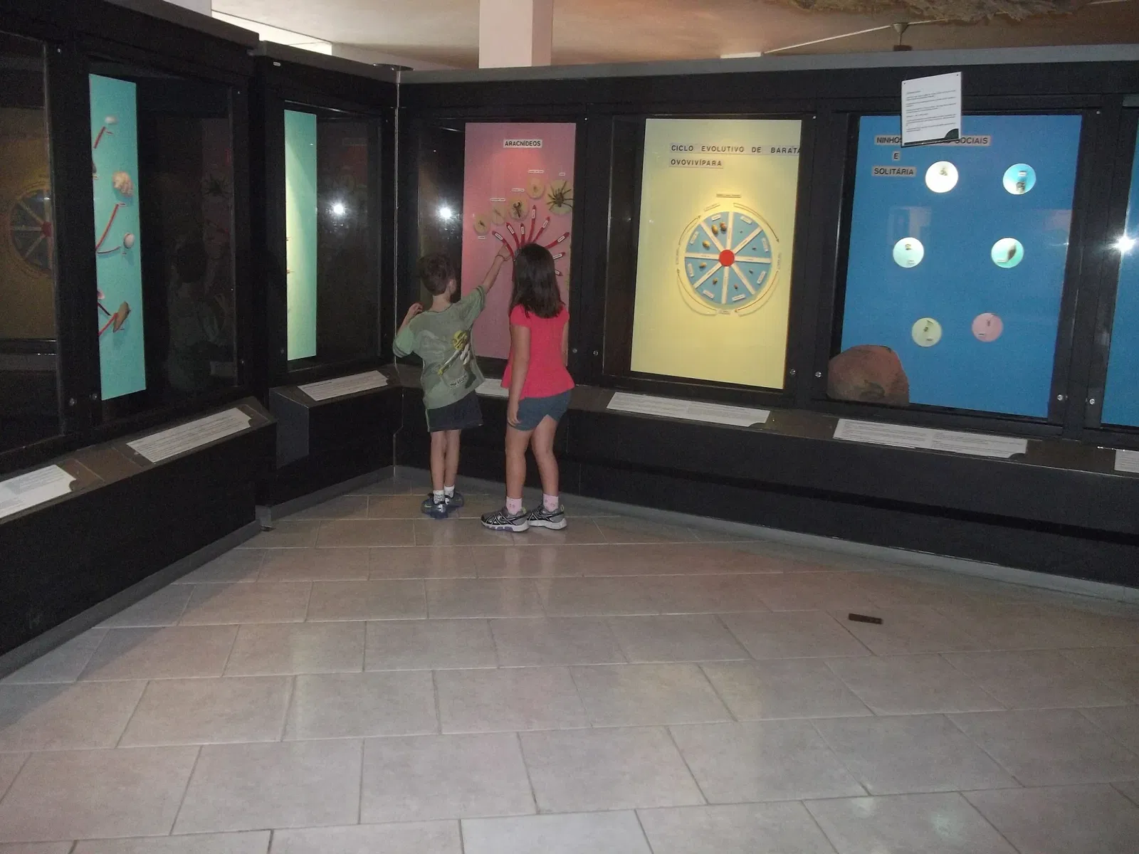 Museum of Natural Sciences of the Rio Grande do Sul Zoobotanical Foundation