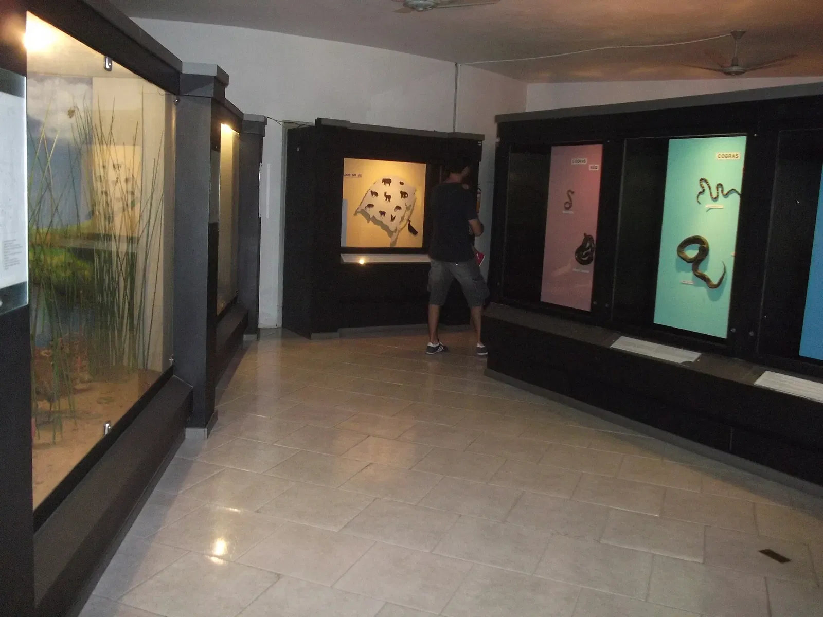 Museo de Ciencias Naturales de la Fundación Zoobotánica de Río Grande del Sur