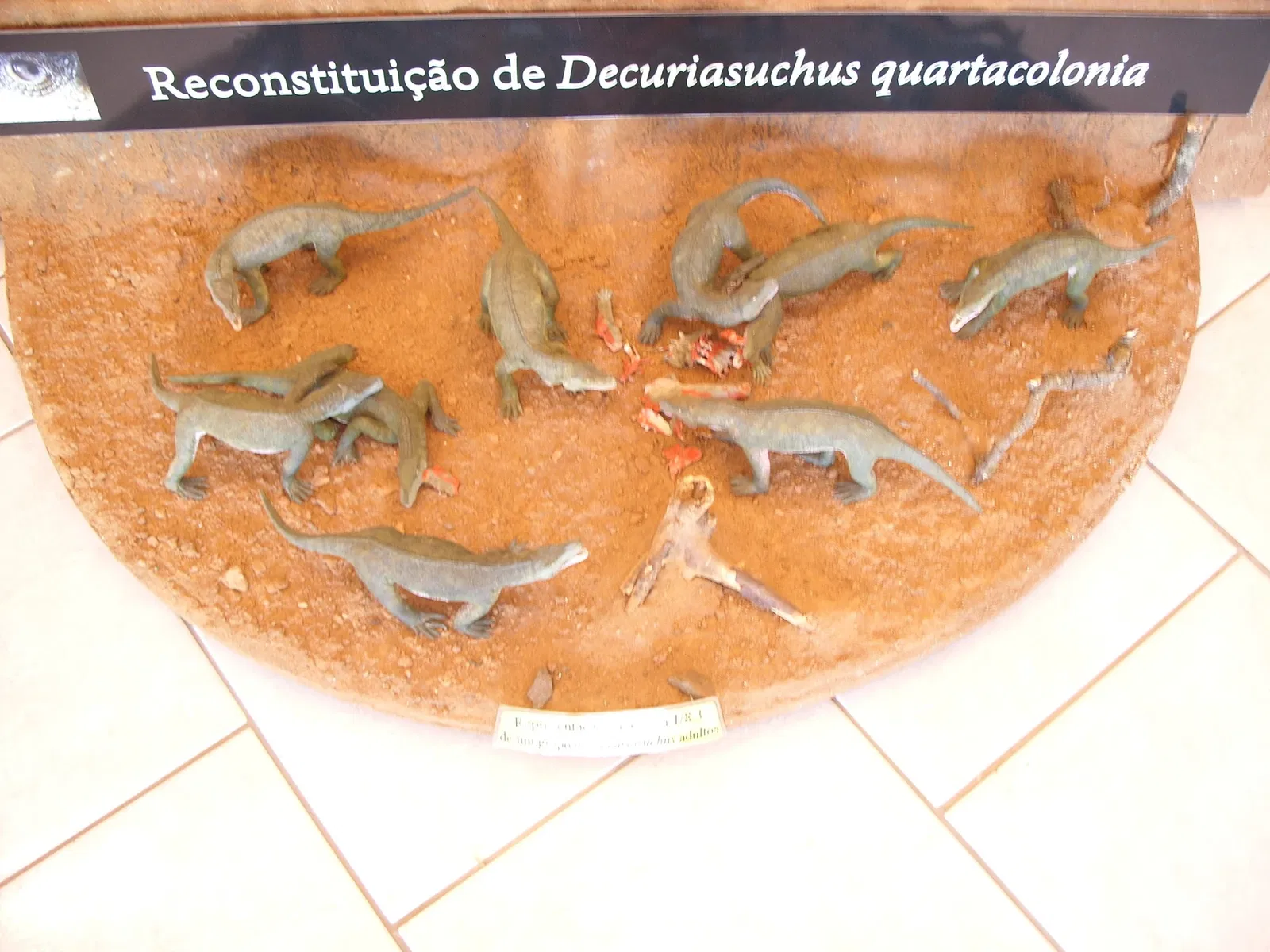 Museo de Ciencias Naturales de la Fundación Zoobotánica de Río Grande del Sur