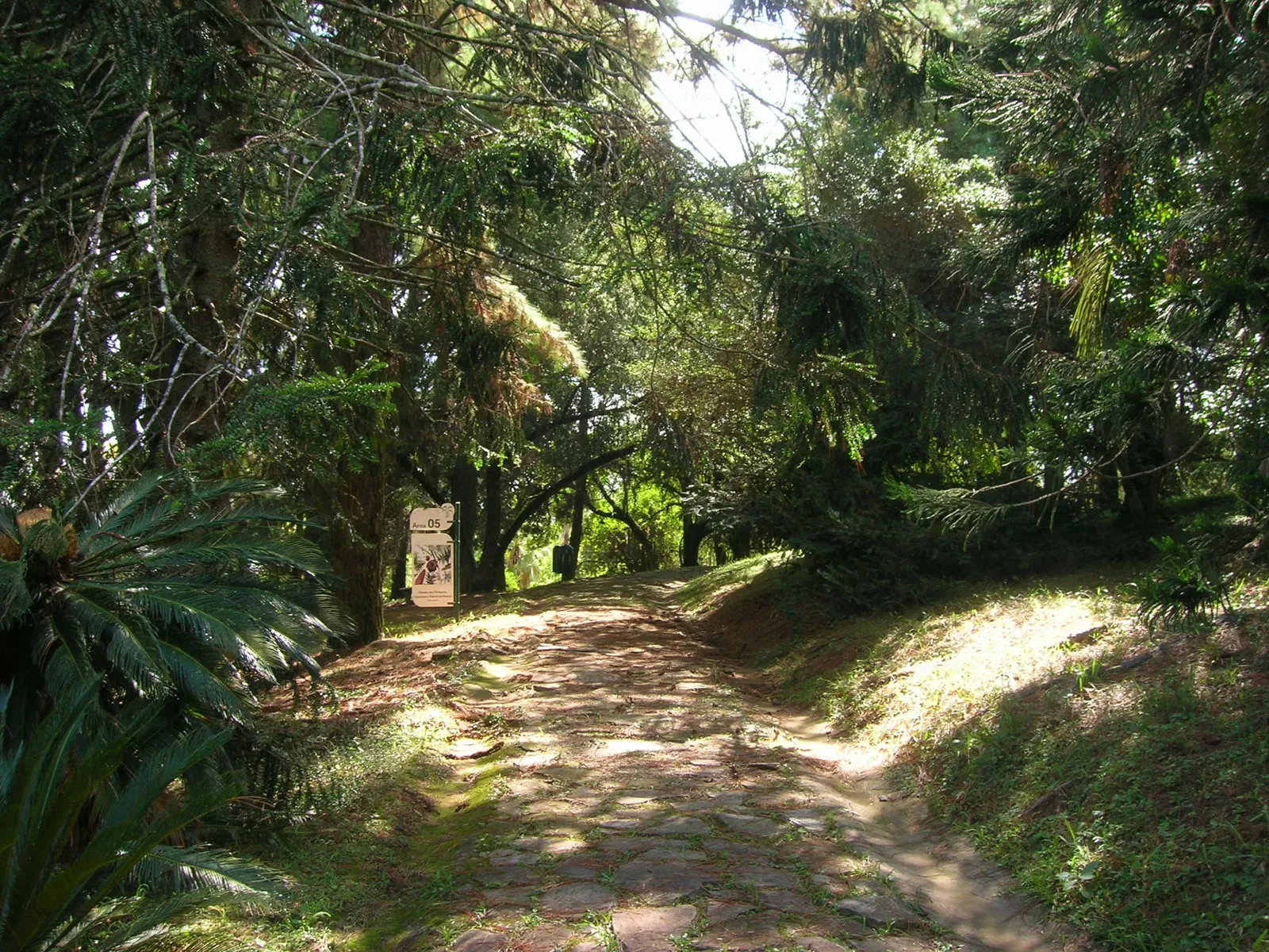 Botanical Gardens of Porto Alegre