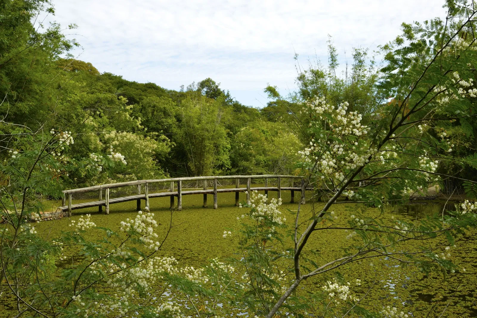 Botanical Gardens of Porto Alegre