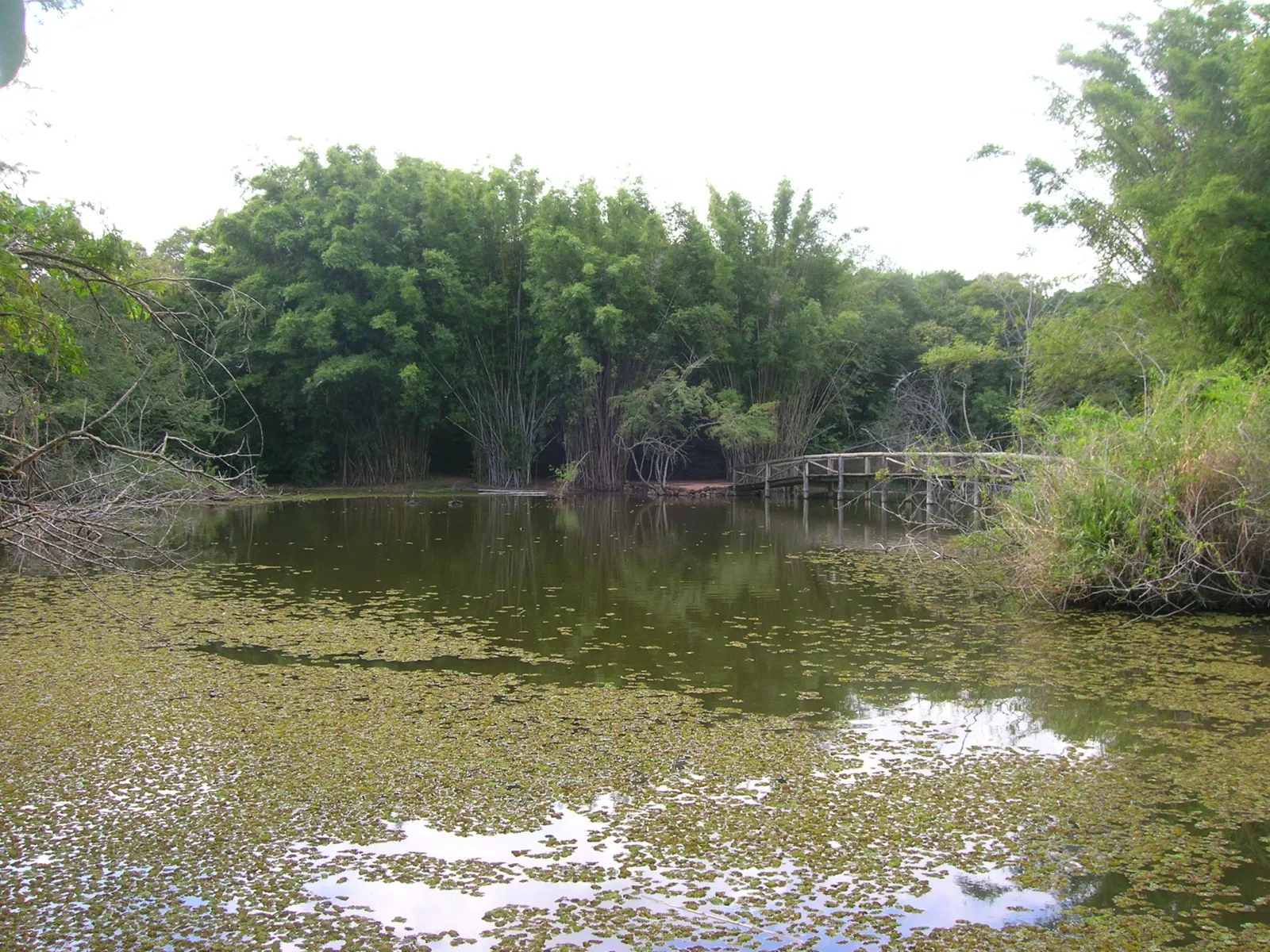 Botanical Gardens of Porto Alegre
