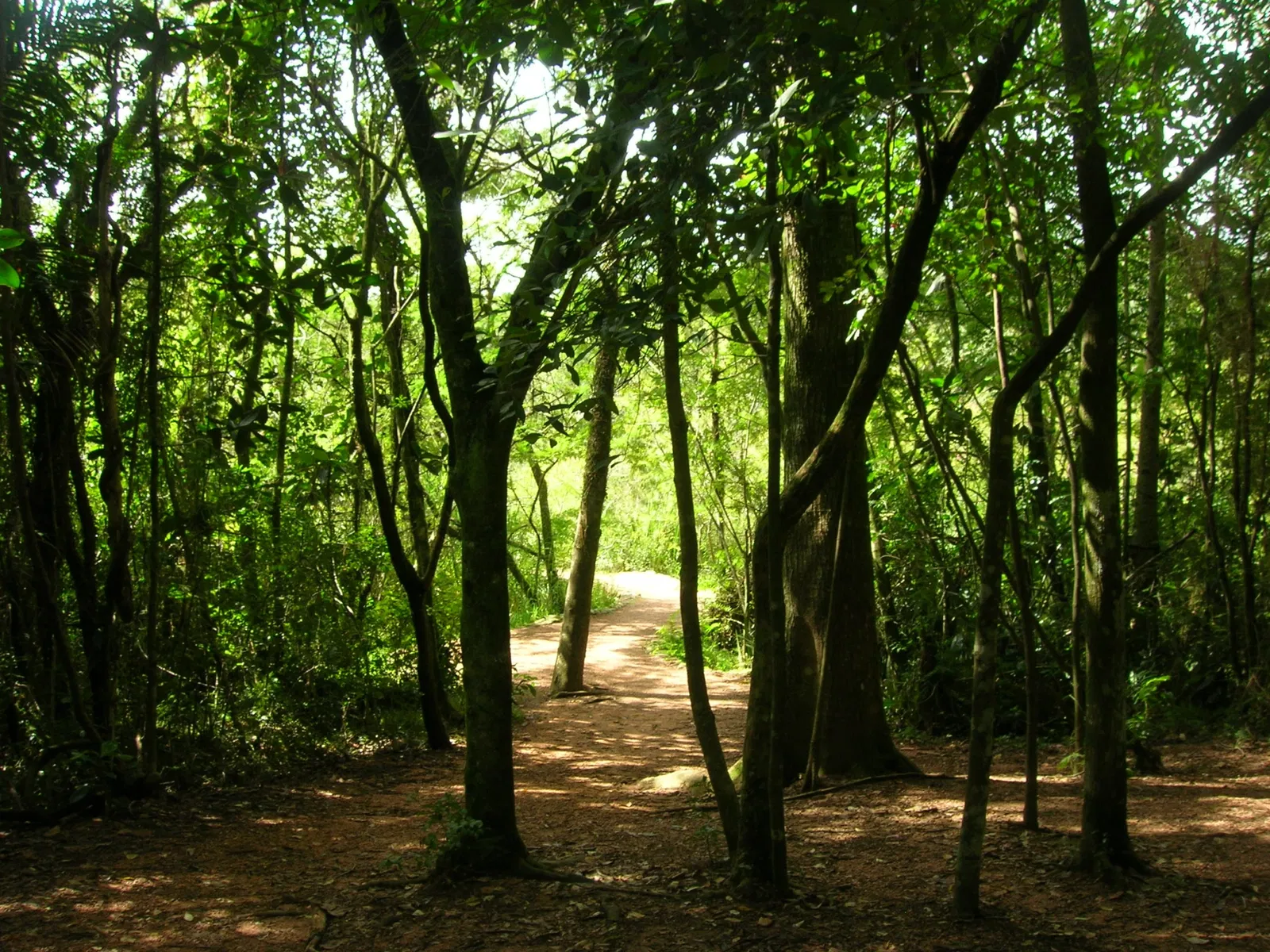 Botanical Gardens of Porto Alegre
