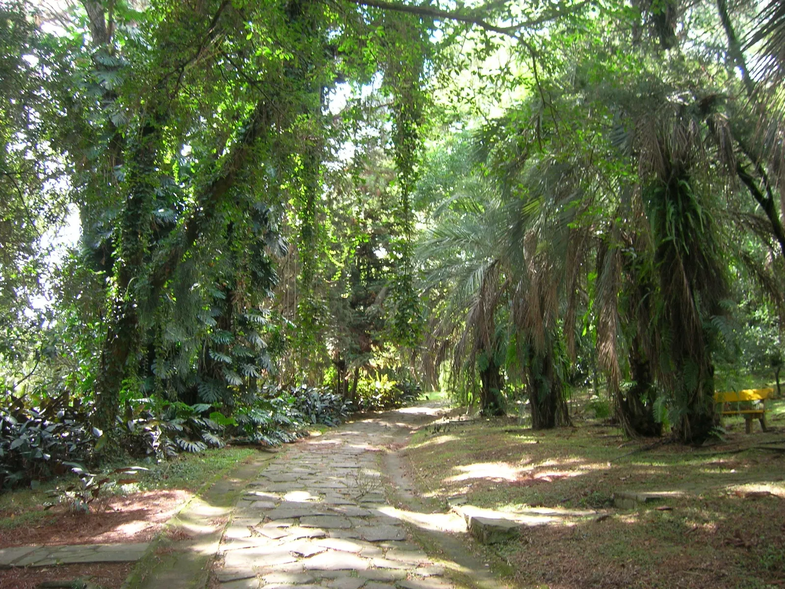 Botanical Gardens of Porto Alegre
