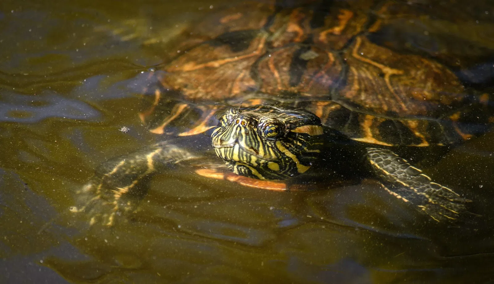 Botanical Gardens of Porto Alegre