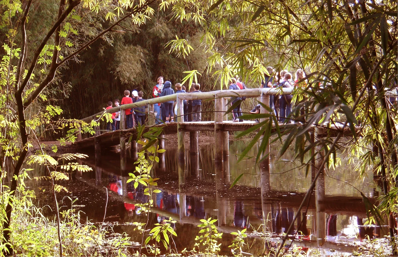 Jardín botánico de Porto Alegre