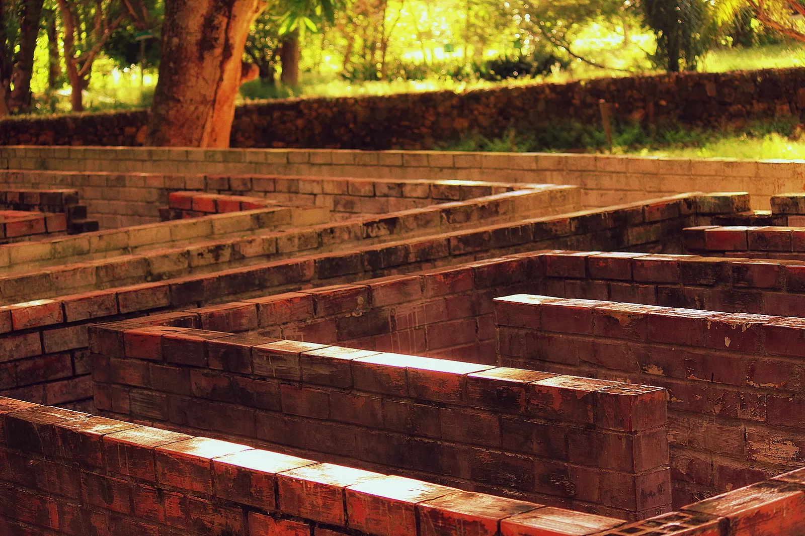 Zoo And Botanical Park Teresina