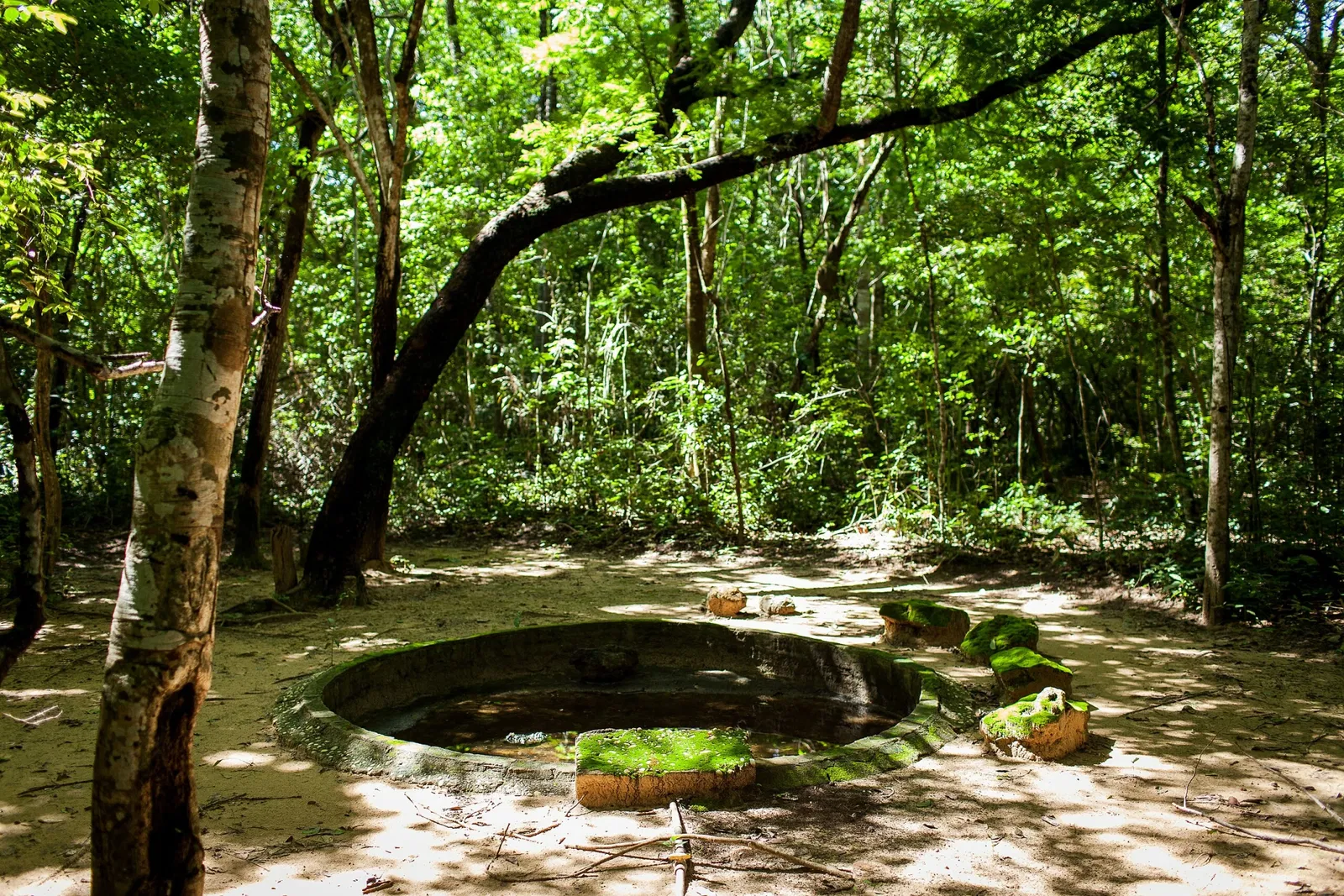 Zoo And Botanical Park Teresina