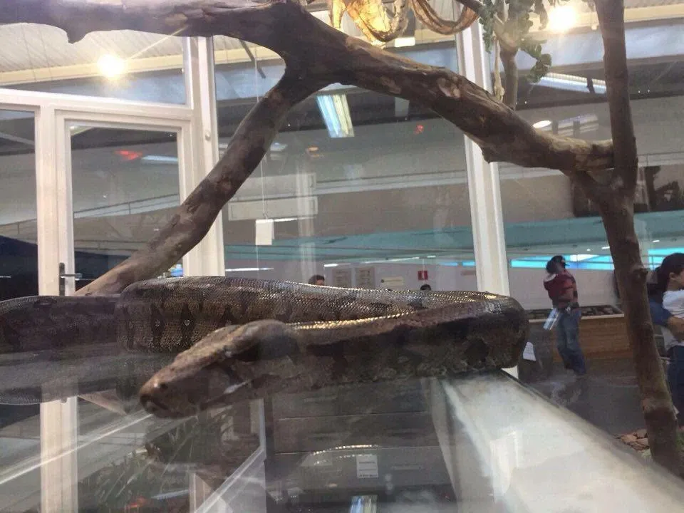 Sabina School Park of Knowledge