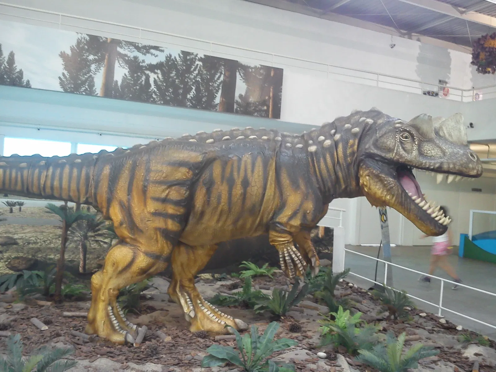 Sabina School Park of Knowledge