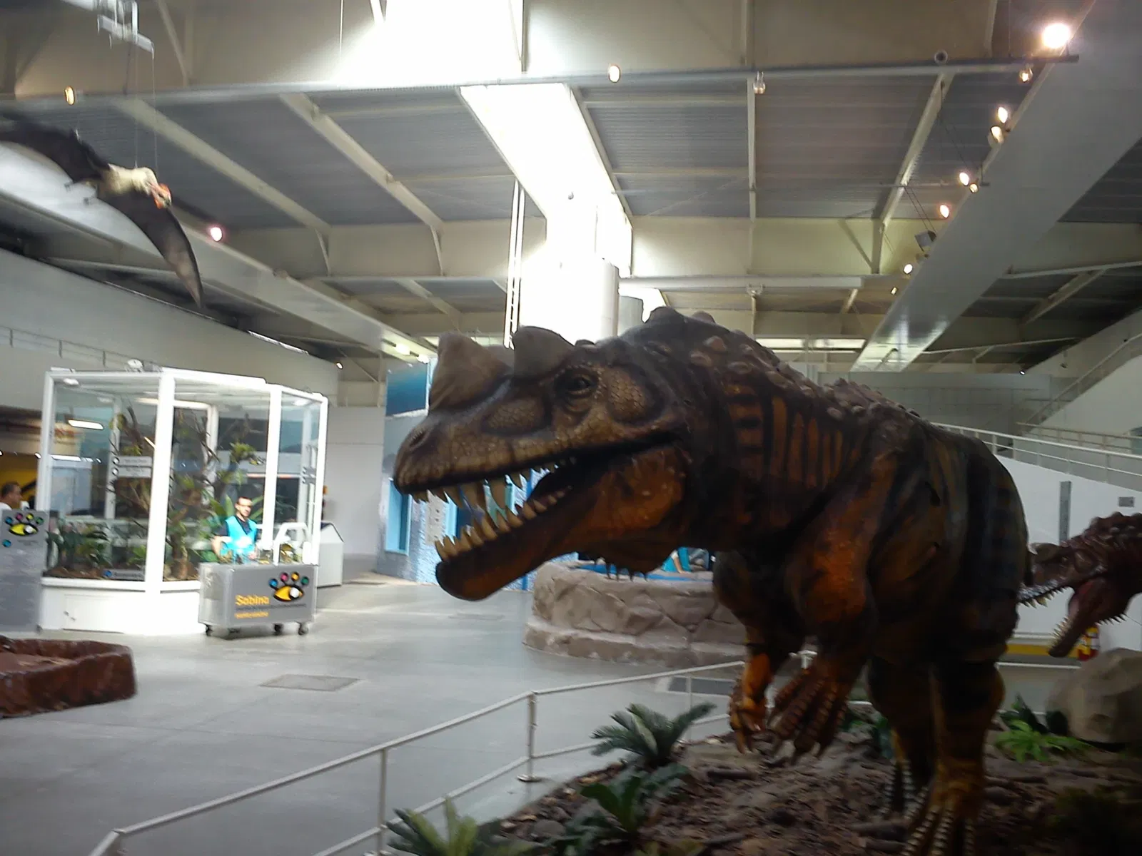 Sabina School Park of Knowledge