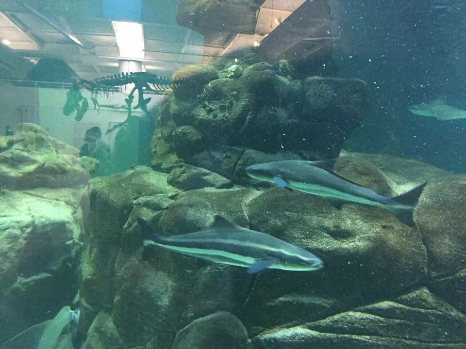 Sabina School Park of Knowledge