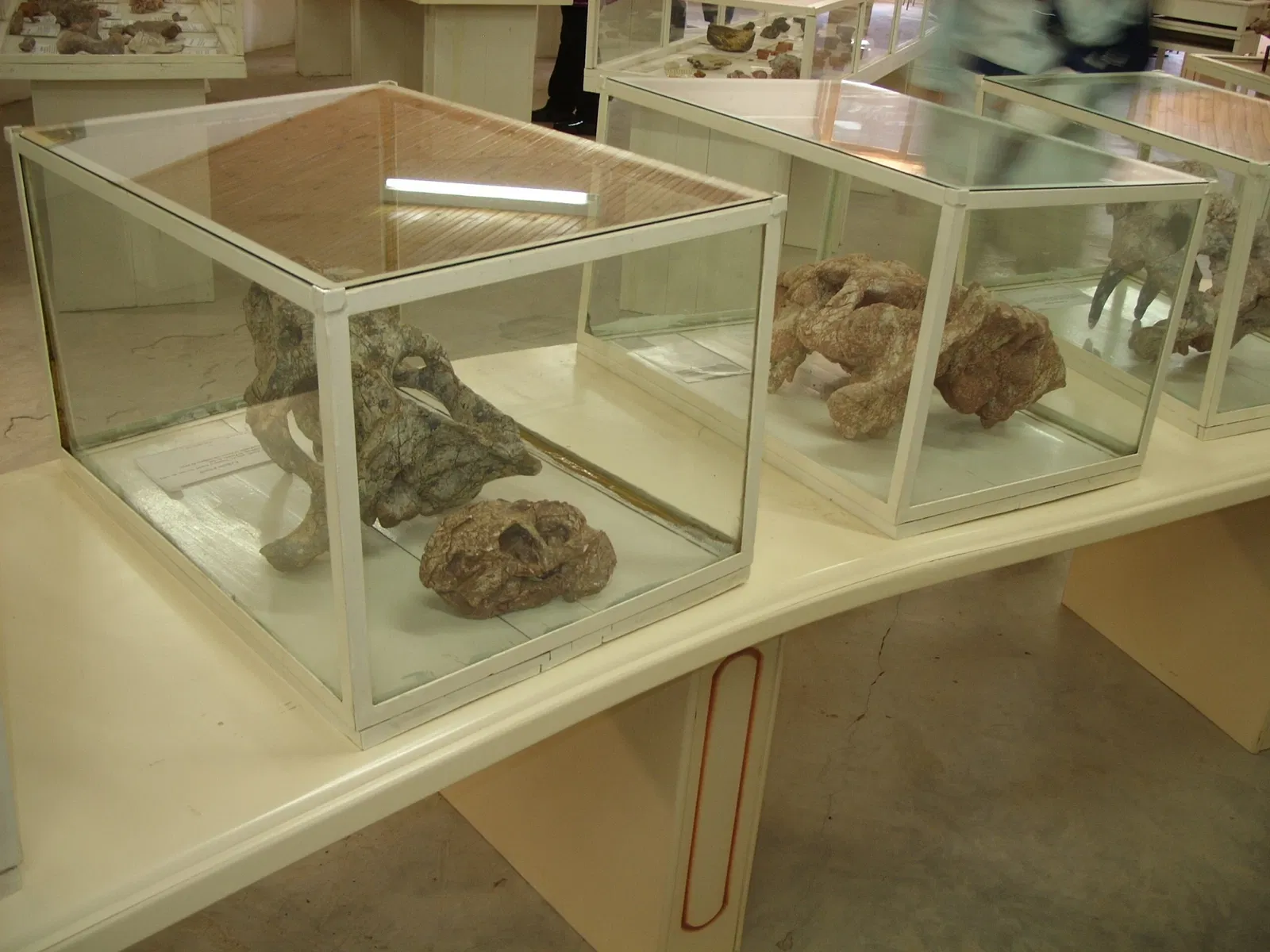 Museo Sacerdote Daniel Cargnin