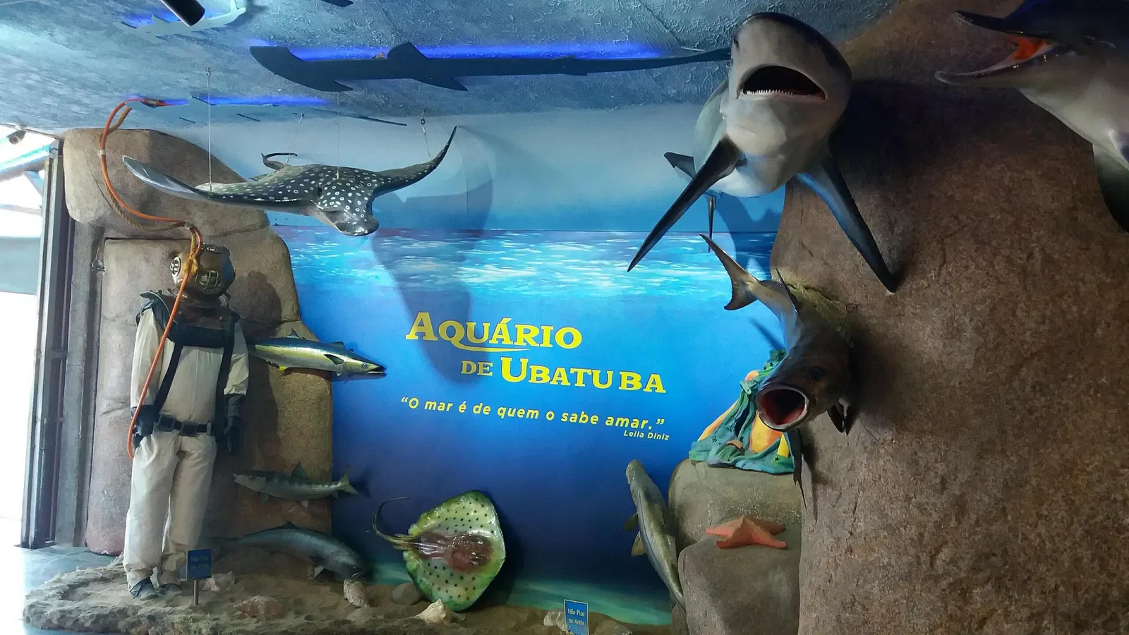 Ubatuba Aquarium