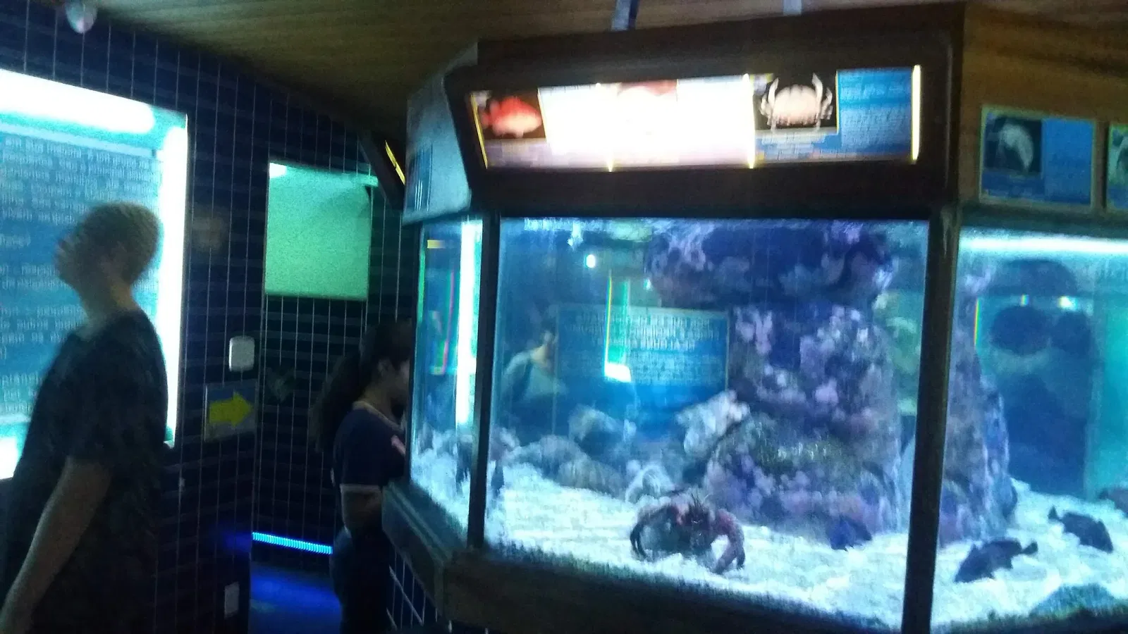 Ubatuba Aquarium