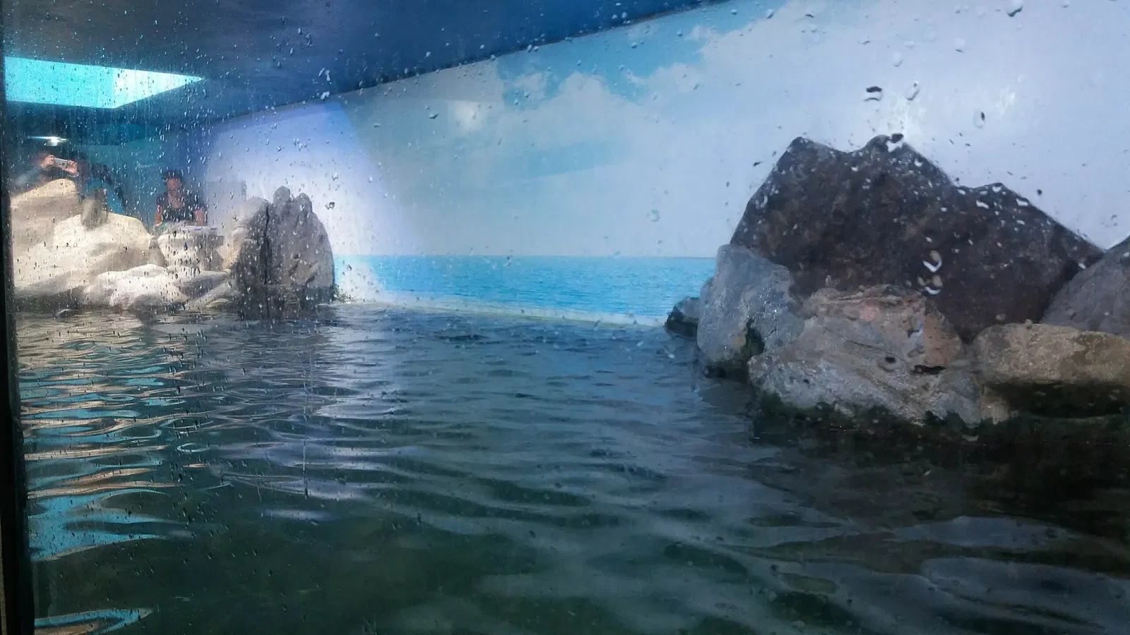 Ubatuba Aquarium