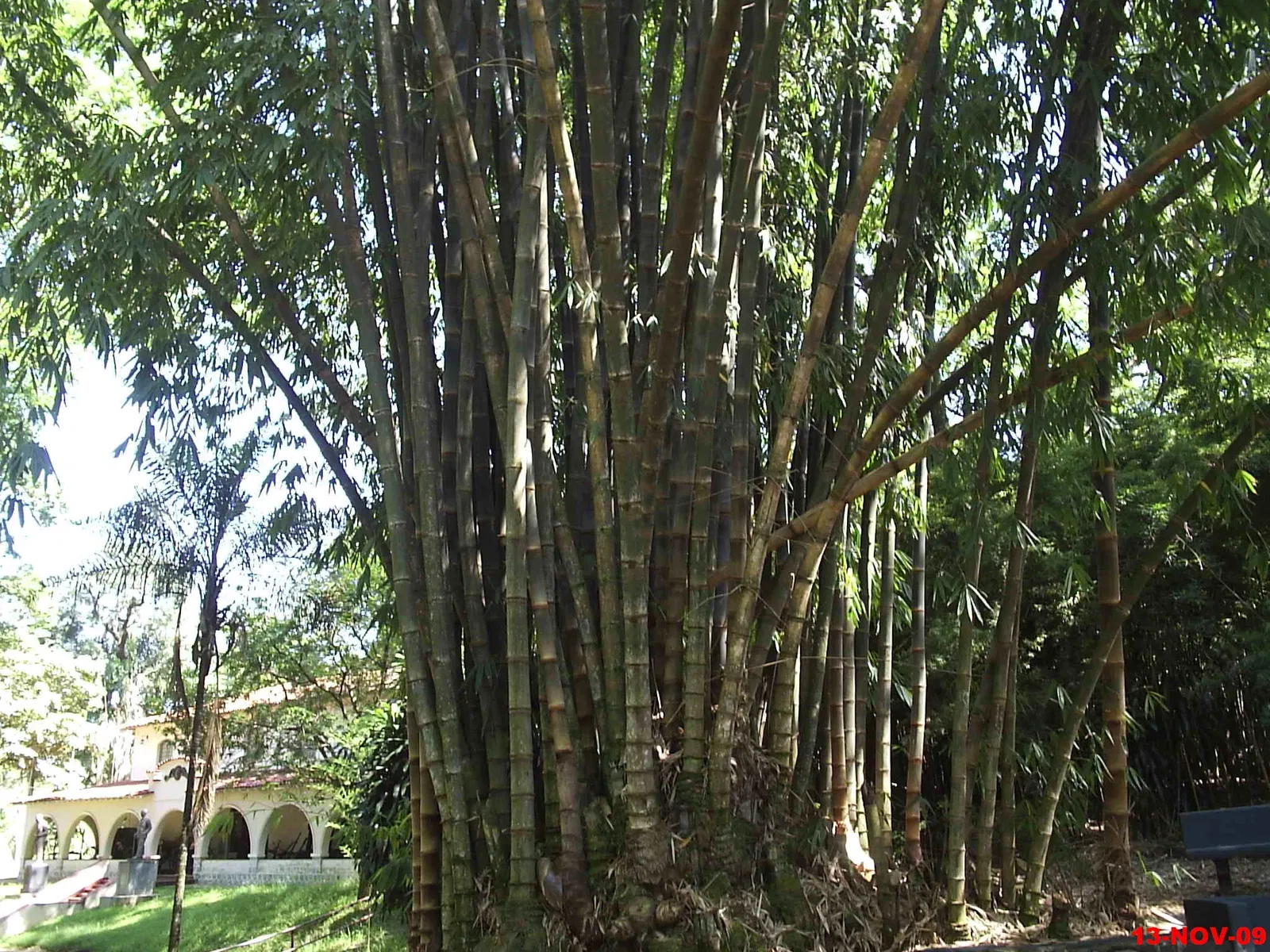 Museo del Café Francisco Schmidt