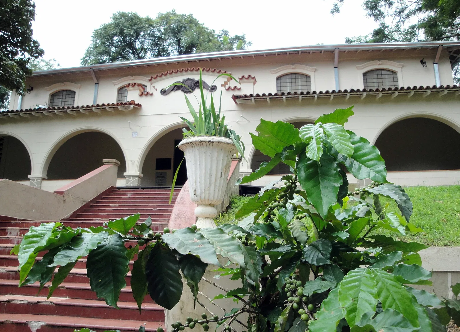 Museo del Café Francisco Schmidt