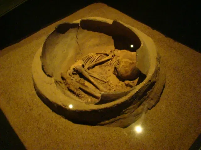 Museum of American Man