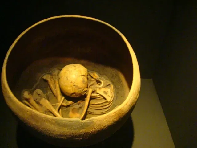 Museum of American Man