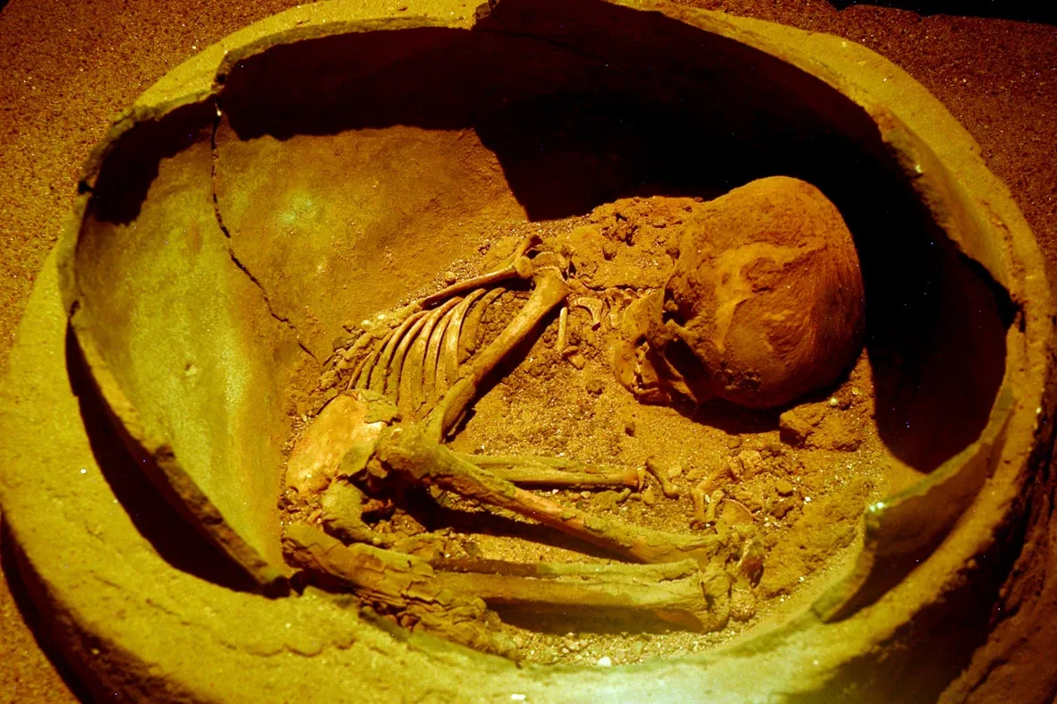 Museo del Hombre Americano