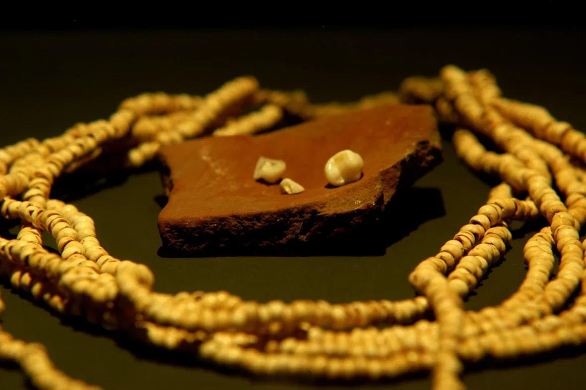 Museum of American Man