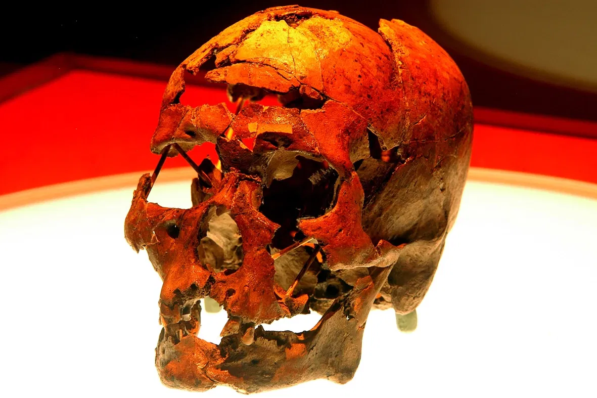 Museo del Hombre Americano