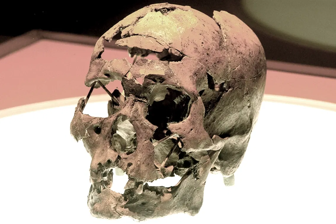 Museum of American Man