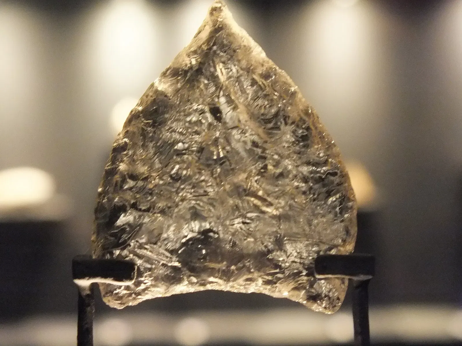 Museo del Hombre Americano