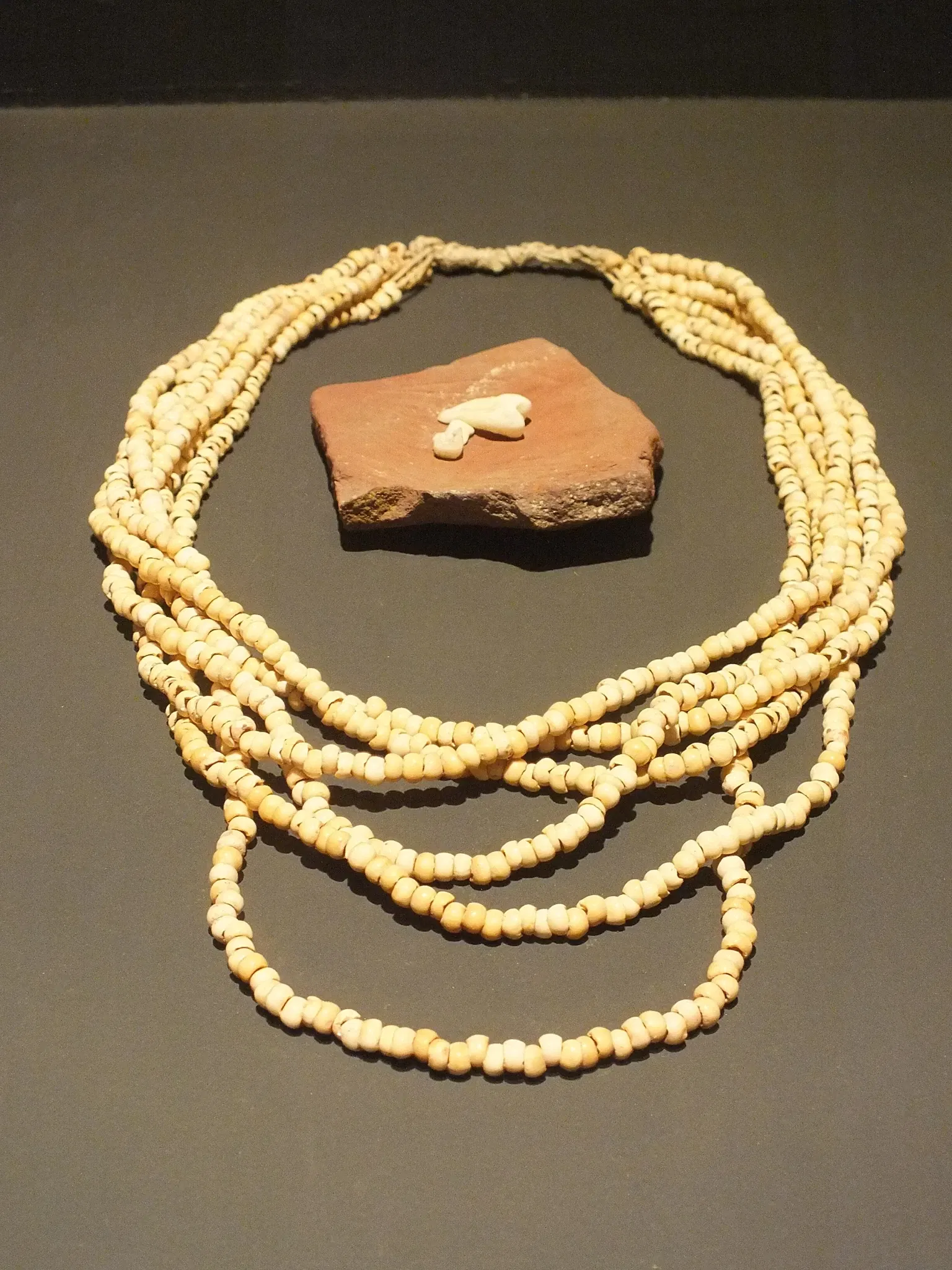 Museo del Hombre Americano