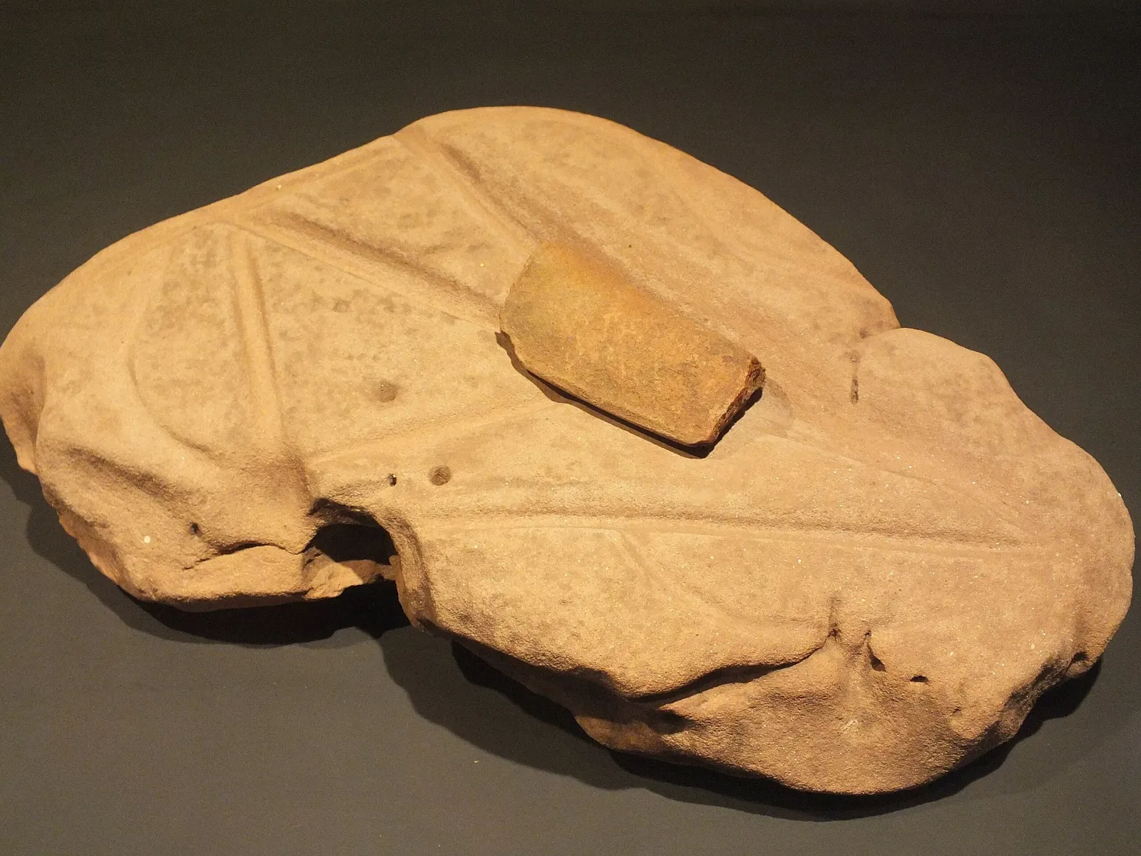 Museum of American Man