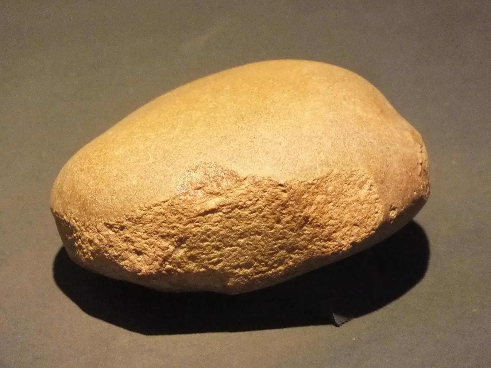 Museum of American Man