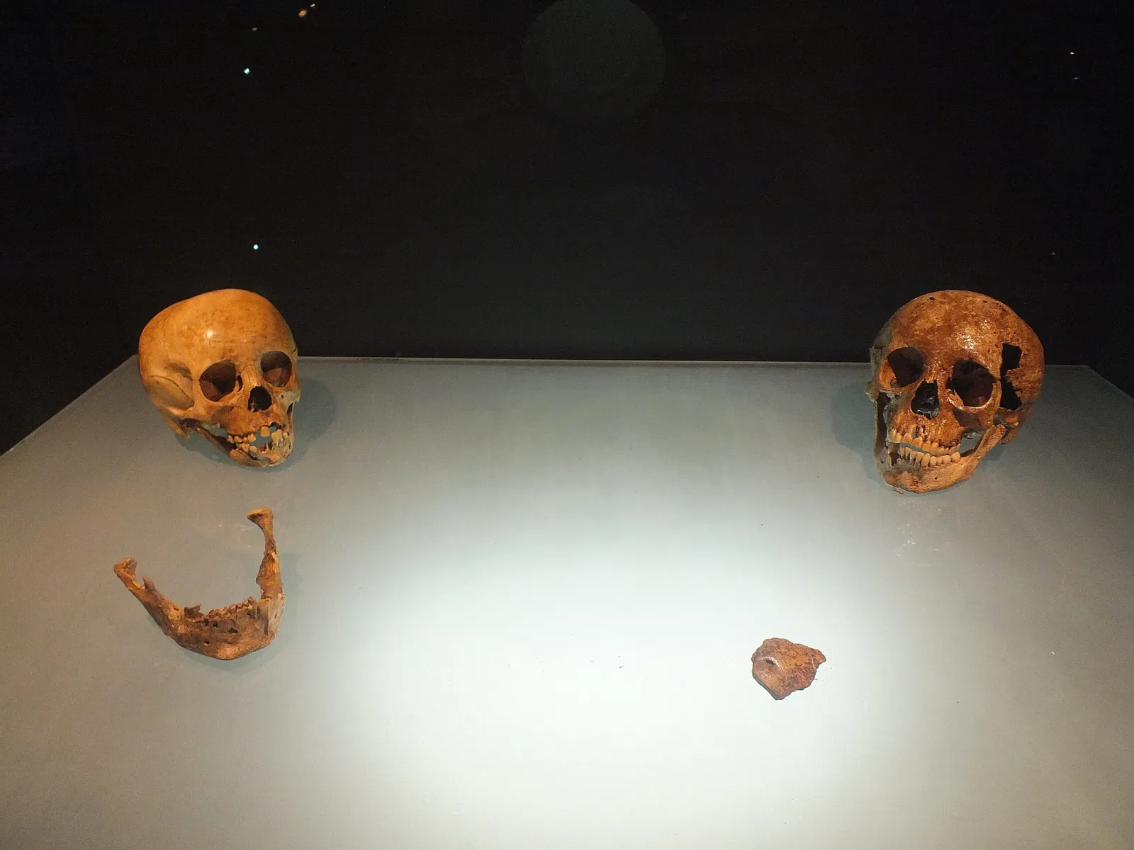 Museum of American Man