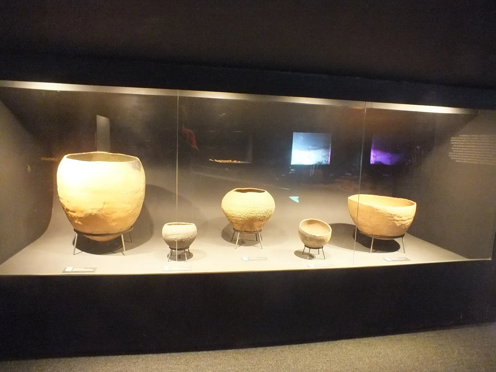 Museum of American Man