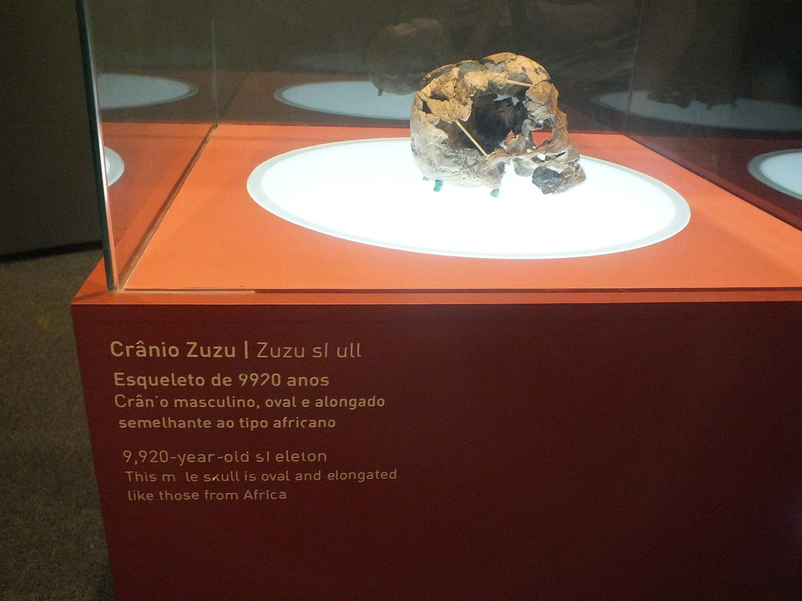 Museo del Hombre Americano